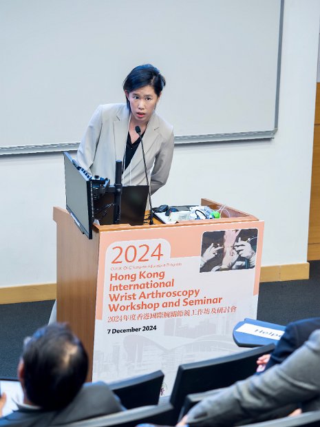 HK Wrist Course 2024- Seminar  - 67 of 257